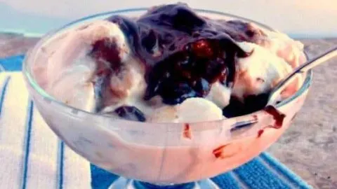 Adult Fun In The Sun: Adult Almond Joy Ice Cream adultAlmondjoy