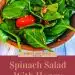 Spinach Salad