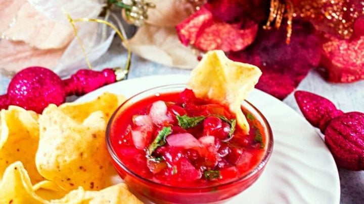 CranberrySalsa