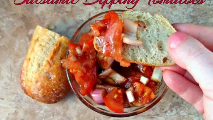 Balsamic Dipping Tomatoes {Italian Tomato Salsa} photo