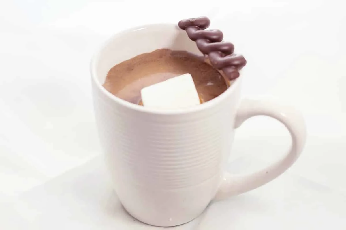 Single Serving Homemade Hot Chocolate mug shot on table