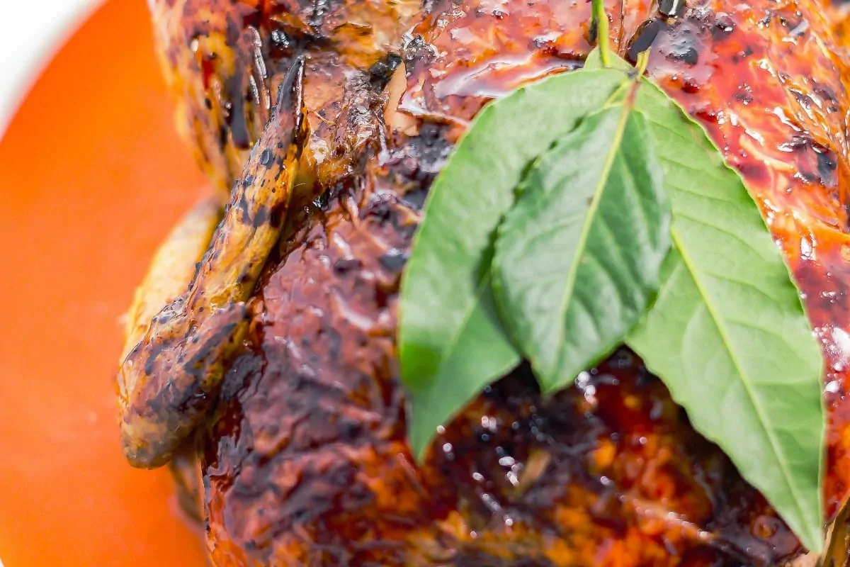 pomegranate glazed chicken5 close up