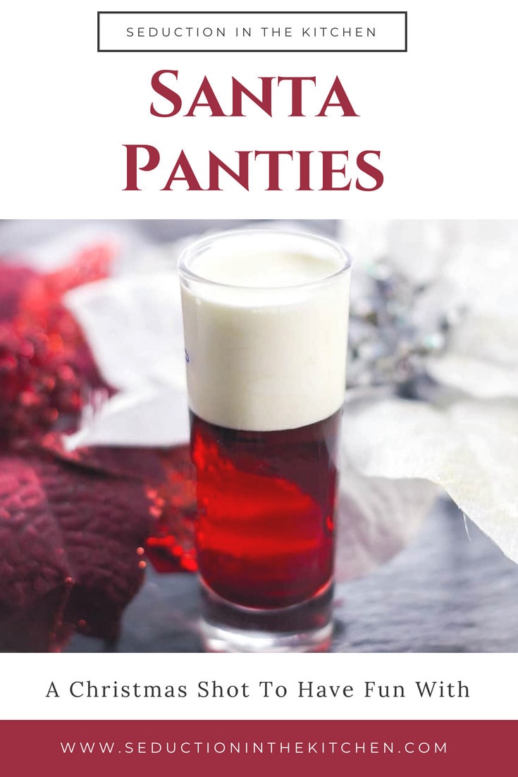 Santa panties pin