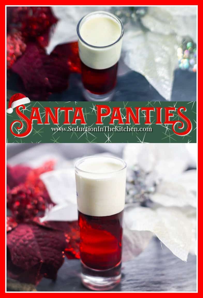 santa panties pin