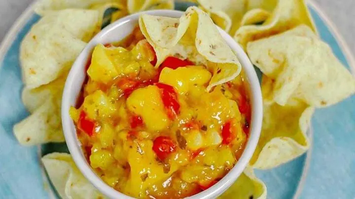 Mango Salsa Recipe {A Sweet and Spicy Salsa} MangoSalsaSeductionInTheKitchen