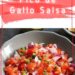 Simple Chunky Salsa Recipe {Pico de Gallo Salsa}