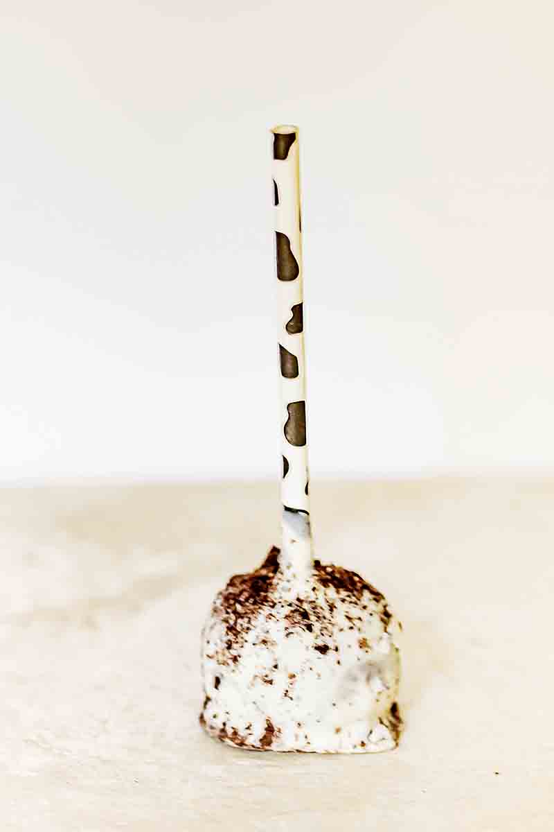 brownie-pops