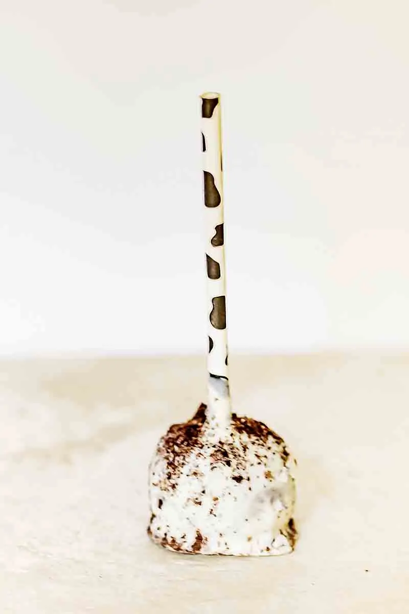 brownie pops