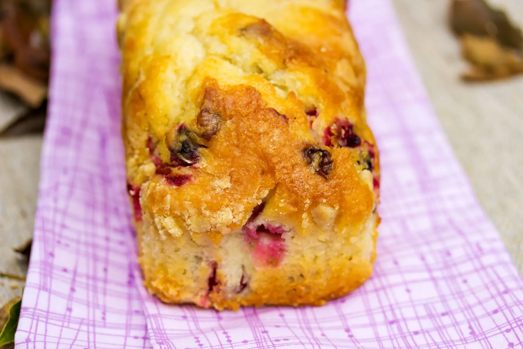 Cranberry-Loaf