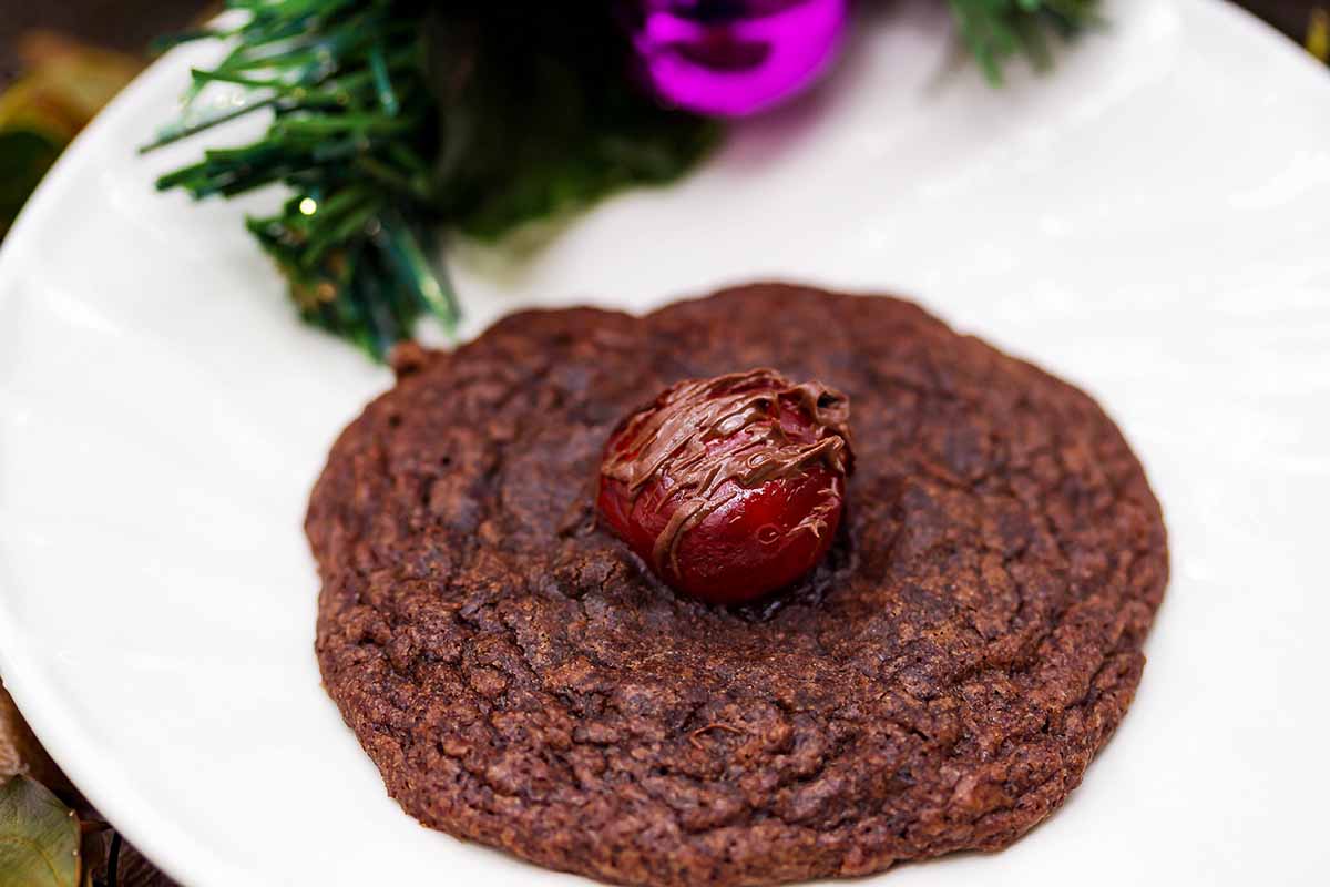 Chocolate Covered Cherry Cookies