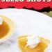 Apple Pie Jello Shots {Fun Fireball Jello Shot}