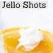 Apple Pie Jello Shots {Fun Fireball Jello Shot}