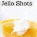 Apple Pie Jello Shots {Fun Fireball Jello Shot}