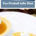 Apple Pie Jello Shots {Fun Fireball Jello Shot}