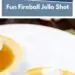 Apple Pie Jello Shots {Fun Fireball Jello Shot}