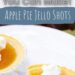 Apple Pie Jello Shots {Fun Fireball Jello Shot}