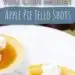 Apple Pie Jello Shots {Fun Fireball Jello Shot}