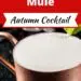 Pumpkin Pie Mule {Easy Autumn Cocktail}