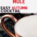 Pumpkin Pie Mule {Easy Autumn Cocktail}