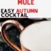 Pumpkin Pie Mule {Easy Autumn Cocktail}