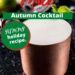 Pumpkin Pie Mule {Easy Autumn Cocktail}