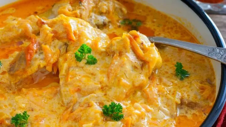 Chicken Paprikash in green ceramic pot