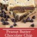 Peanut Butter Chocolate Chip Shortbread Bars {Easy Shortbread Pastry}