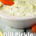 Simple Dill Pickle Dip {Kosher Dill Pickles Taste In A Dip}