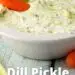 Simple Dill Pickle Dip {Kosher Dill Pickles Taste In A Dip}