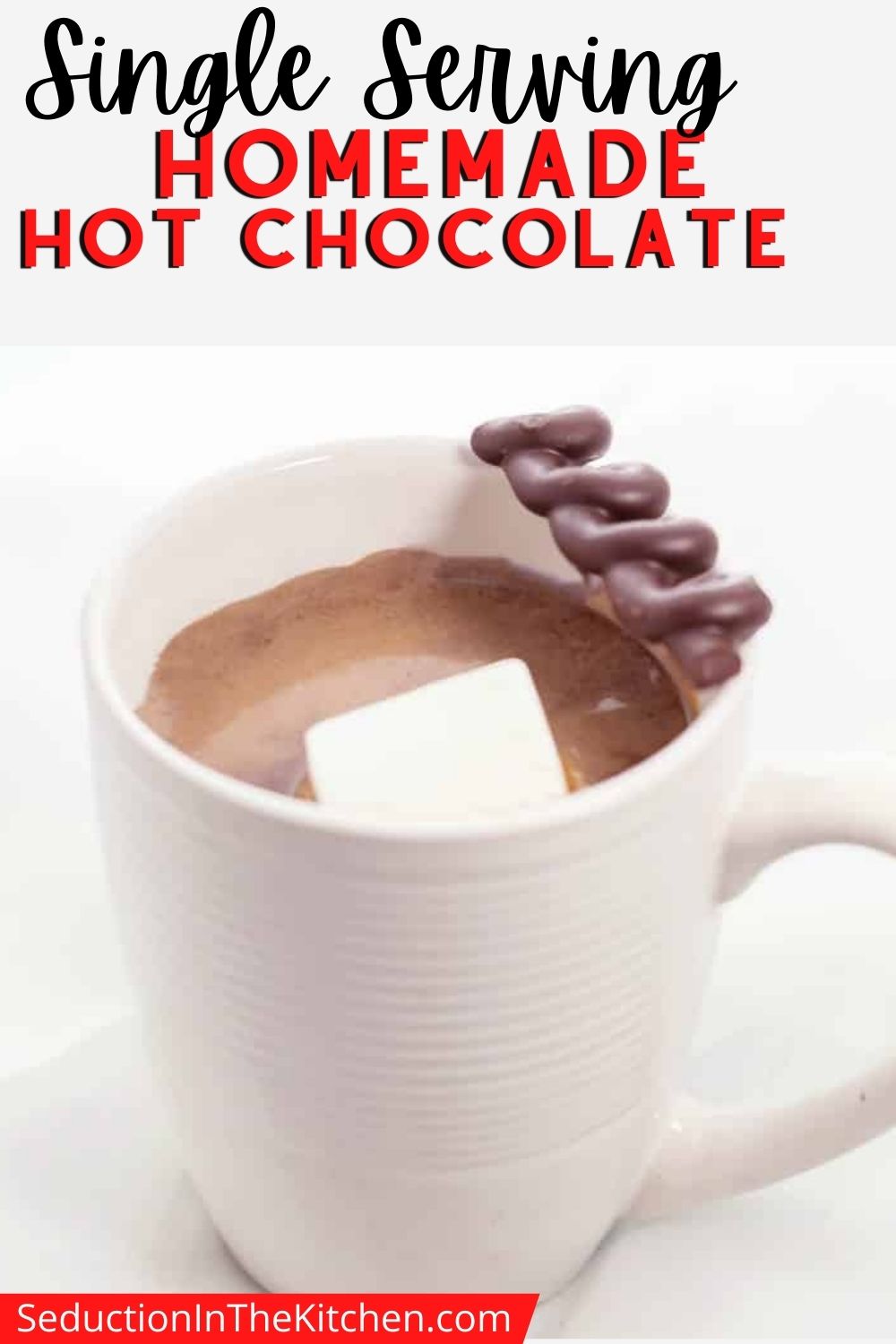 Single Serving Homemade Hot Chocolate Recipe