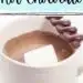 Single Serving Homemade Hot Chocolate {Simple and Delicious Recipe}