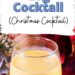 The Yule Log Cocktail {Eggnog Cocktail With Fireball Whisky}