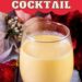 The Yule Log Cocktail {Eggnog Cocktail With Fireball Whisky}