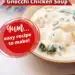 Slow Cooker Gnocchi Chicken Soup (Easy Soup Recipe}