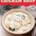 Slow Cooker Gnocchi Chicken Soup (Easy Soup Recipe}