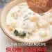 Slow Cooker Gnocchi Chicken Soup (Easy Soup Recipe}