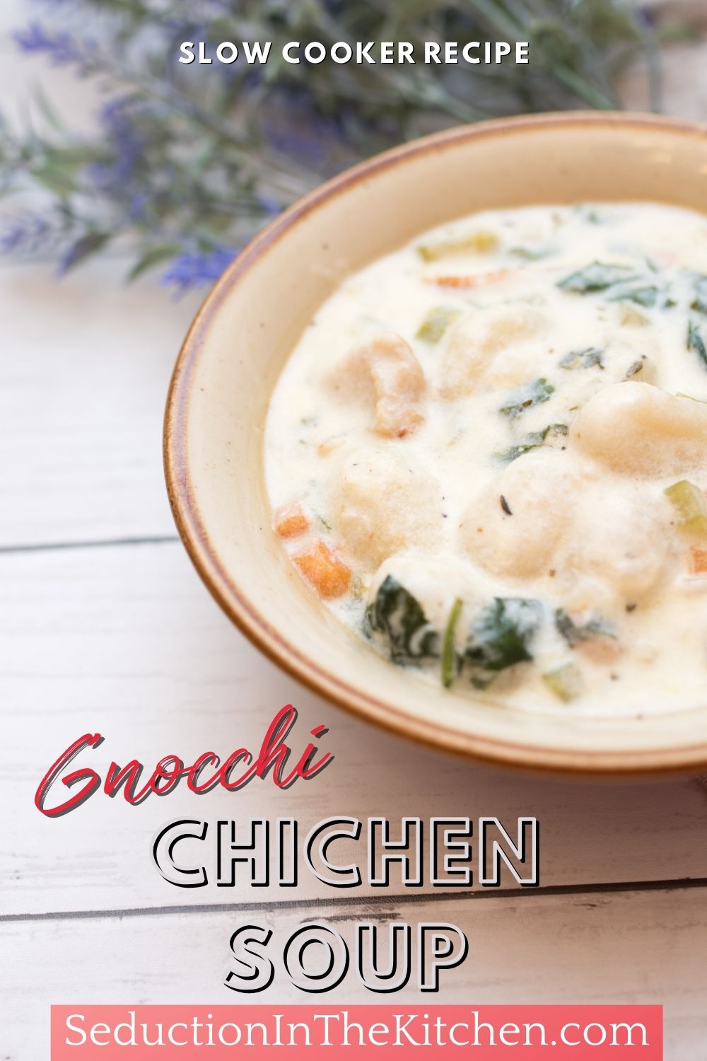 Slow Cooker Gnocchi Chicken Soup (Easy Soup Recipe}