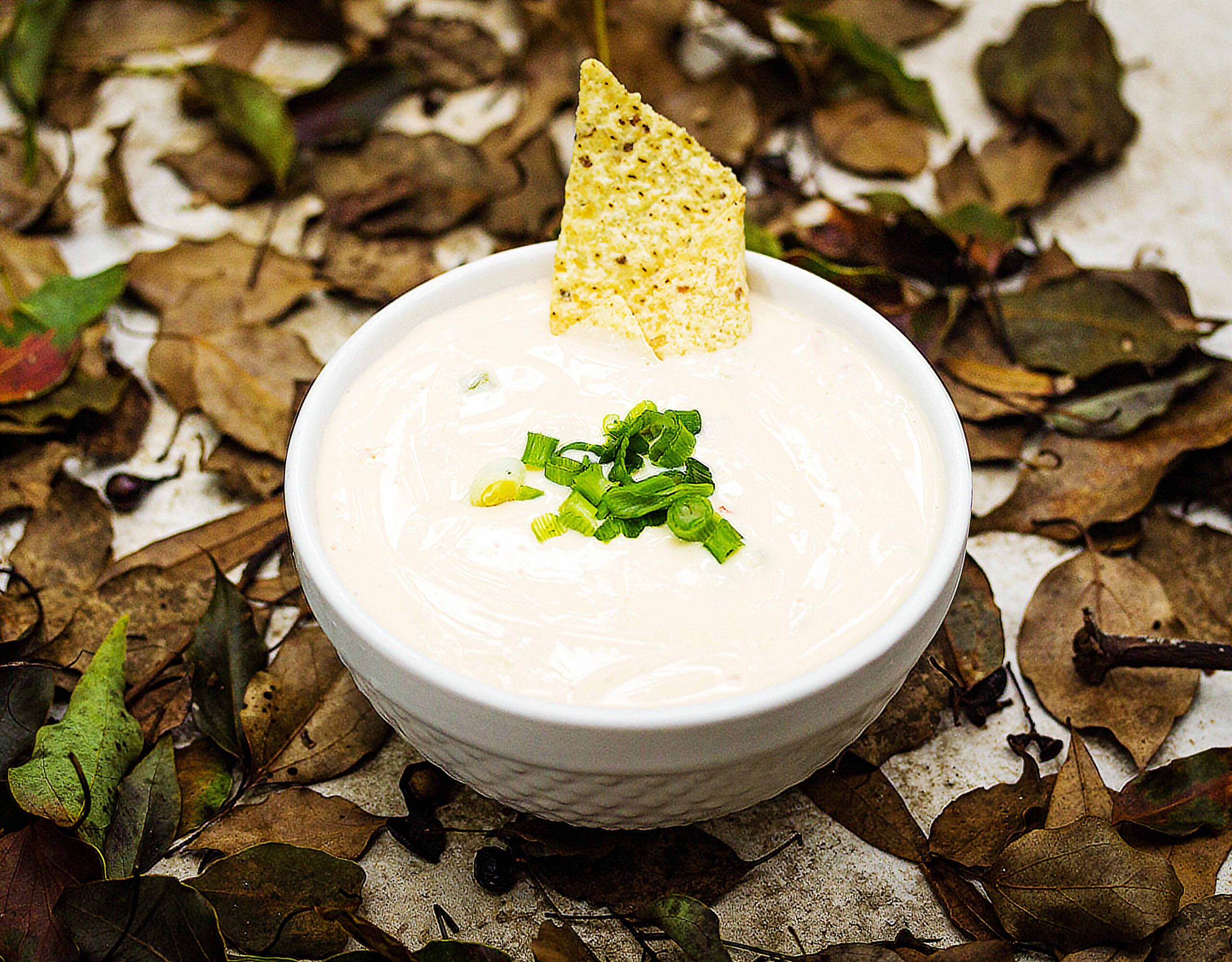 Queso Blanco Dip {Easy White Cheese Dip}