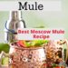 Strawberry Moscow Mule {Best Moscow Mule Recipe}