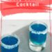 Mermaid Dreams Cocktail {The Summer Cocktail Shot}