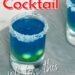 Mermaid Dreams Cocktail {The Summer Cocktail Shot}