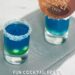 Mermaid Dreams Cocktail {The Summer Cocktail Shot}