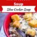 Slow Cooker Philly Cheesesteak Soup {Easy Steak Soup}