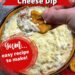 Warm Bacon Cheese Dip {Fast and Easy Dip Recipe}