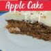 Old Fashion Apple Cake {Easy Moist Apple Cake}