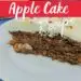 Old Fashion Apple Cake {Easy Moist Apple Cake}