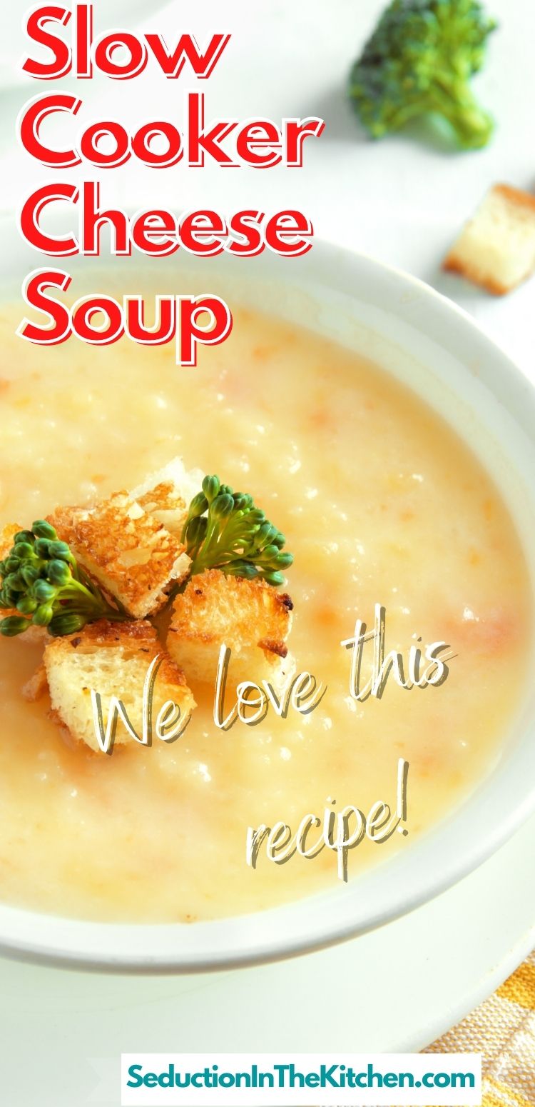 Slow Cooker Cheese Soup {Easy Velveeta Cheese Recipe}