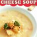 Slow Cooker Cheese Soup {Easy Velveeta Cheese Recipe}