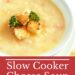 Slow Cooker Cheese Soup {Easy Velveeta Cheese Recipe}