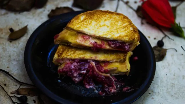 Cranberry Turkey Melt {Thanksgiving Essentials Melt Sandwich} Cranberry Turkey Melt